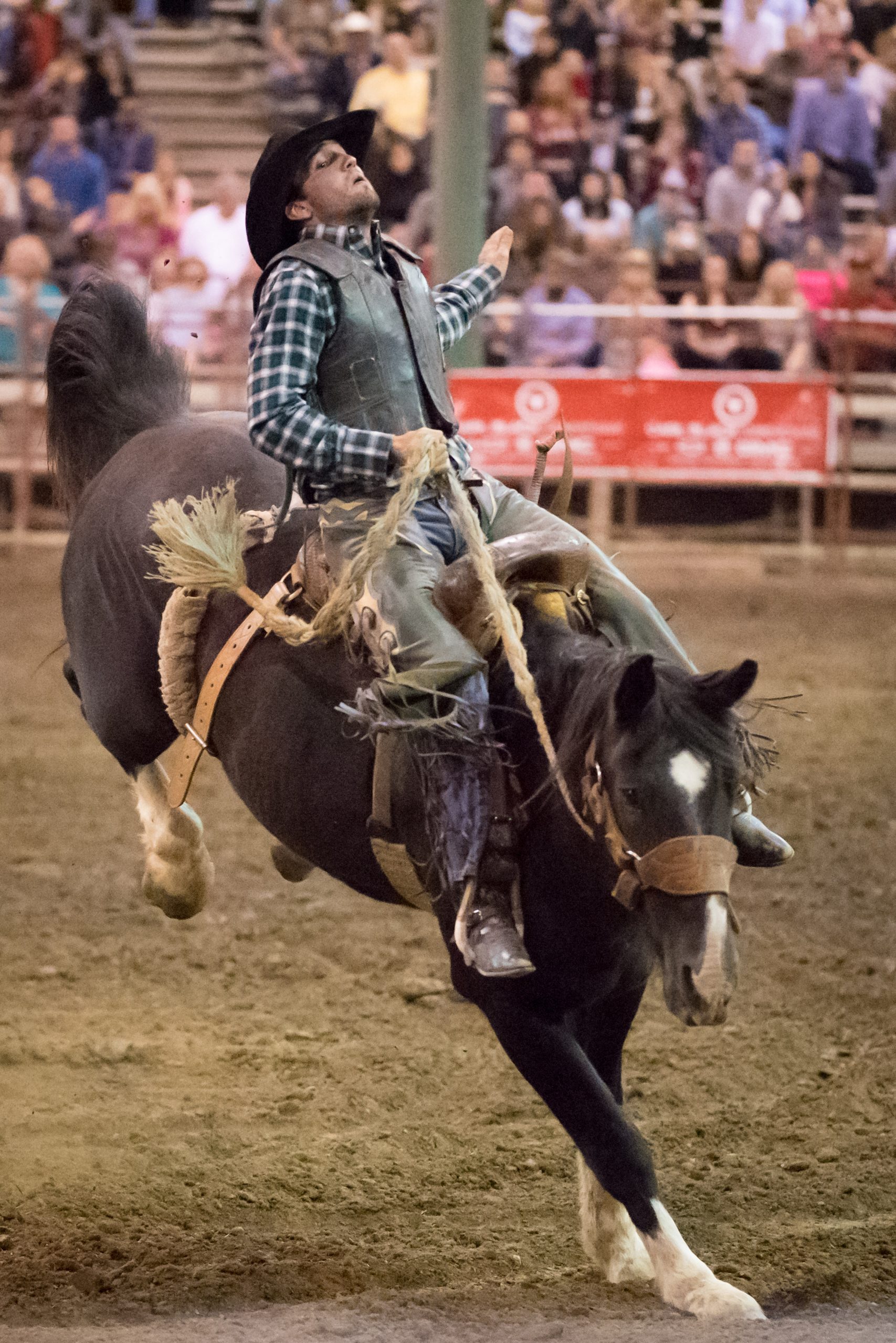 Nikon D5 ISO 64000 bails me out with a Rodeo
