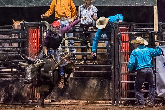 Nikon D5 ISO 64000 bails me out with a Rodeo – Storyteller