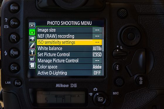 Auto ISO and why I use it