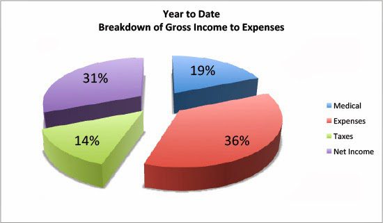 Gross income broken down for the independent photographer