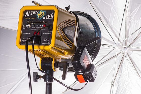 Pocketwizard AC9 a Game Changer with Alienbees High Speed Sync 1/8000