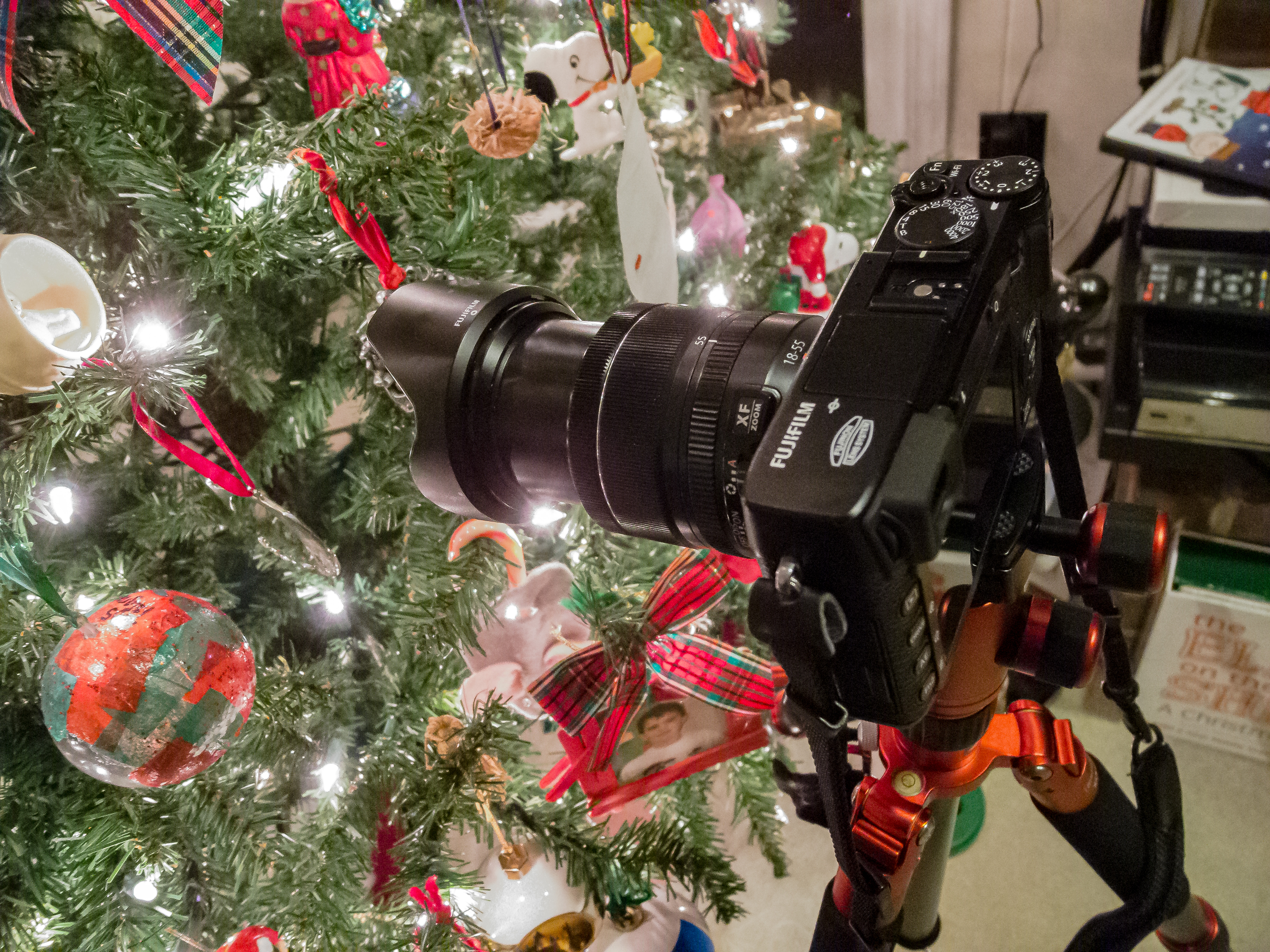 Christmas Trees and Cameras have something in common