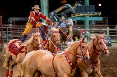 Saddle Up and Capture the Spirit: Tips for Photographing a Rodeo on National Cowboy Day