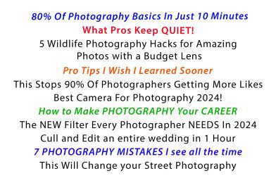 The Shocking Truth Behind Photography Clickbait: Why Time, Not Tricks, is Your True Teacher