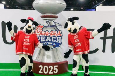 The Art of the Cull: Narrowing Down 6,589 Photos from the Chick-fil-A Peach Bowl