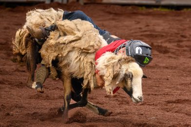 ƒ/8 and Be There: The Timeless Advice That Still Wins