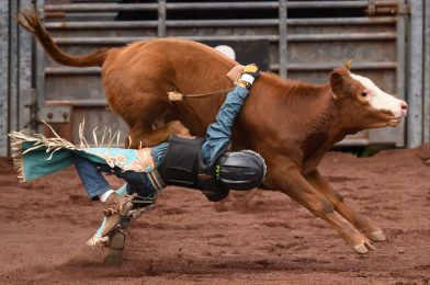 Naive Enough to Start