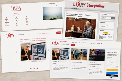 Two Decades Online: A Look Back at My Digital Trail